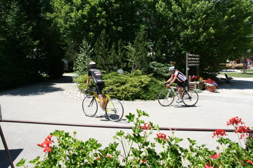 Camping Le Colporteur Hotel Le Bourg-dʼOisans Eksteriør billede